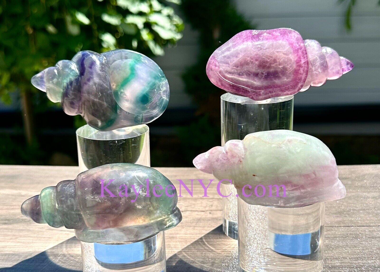 Wholesale Lot 4 Pcs Natural Fluorite Conch Crystal Healing Energy 1.9-2lbs