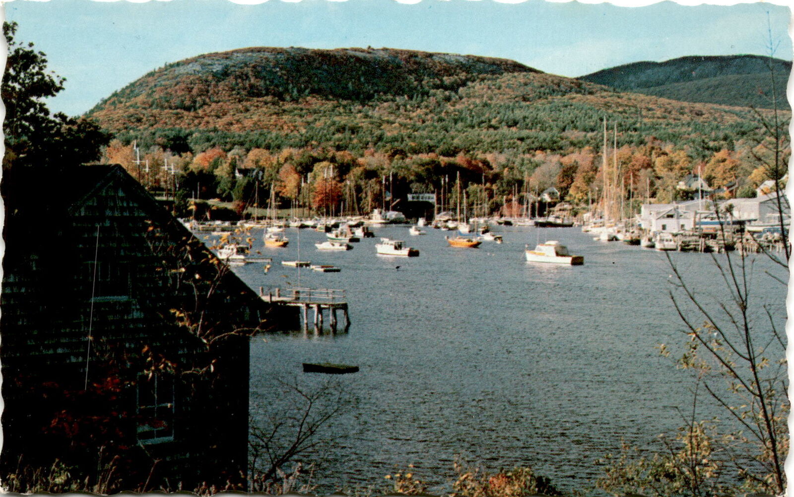 Boats in Camden, Maine  vintage postcard