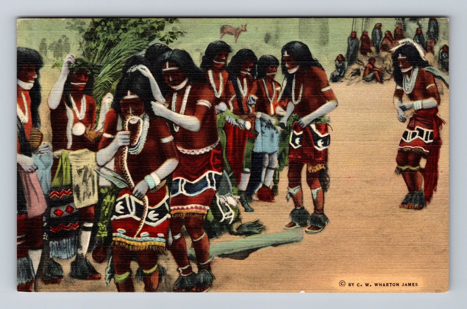 AZ-Arizona, Hopi Snake Dance, Antique Souvenir Vintage Postcard
