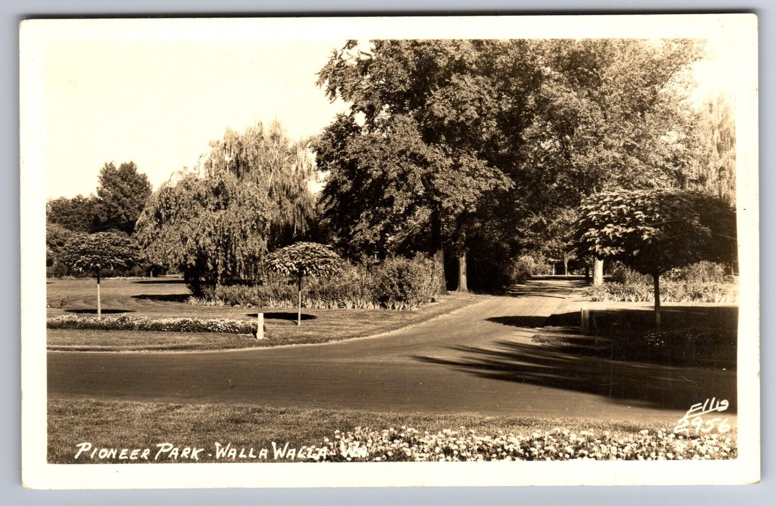 C.1940 RPPC WALLA WALLA WASHINGTON WA PIONEER PARK Photo Postcard P46