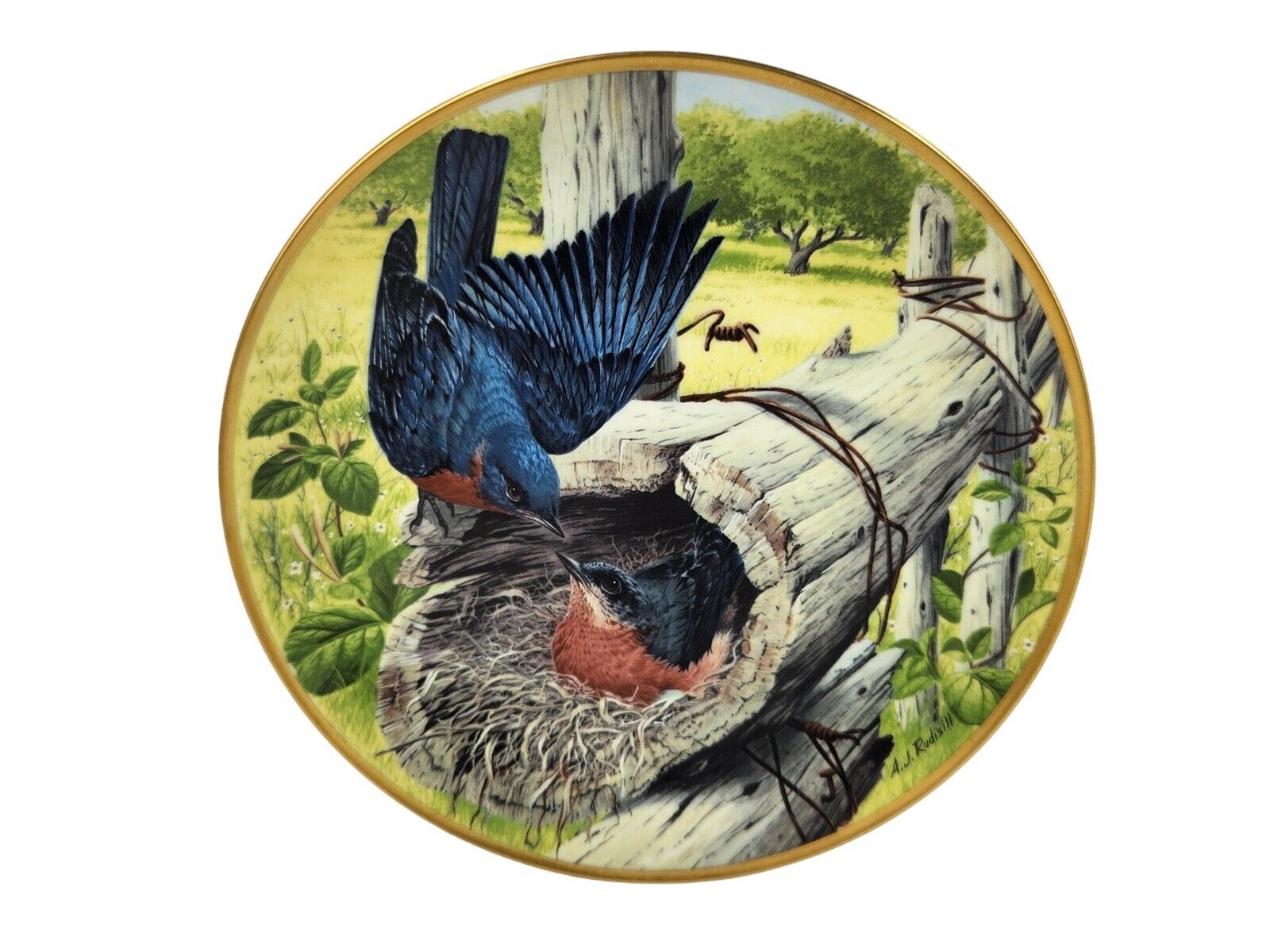 The National Audubon Society Birds of the Countryside Collector Plate & Hanger
