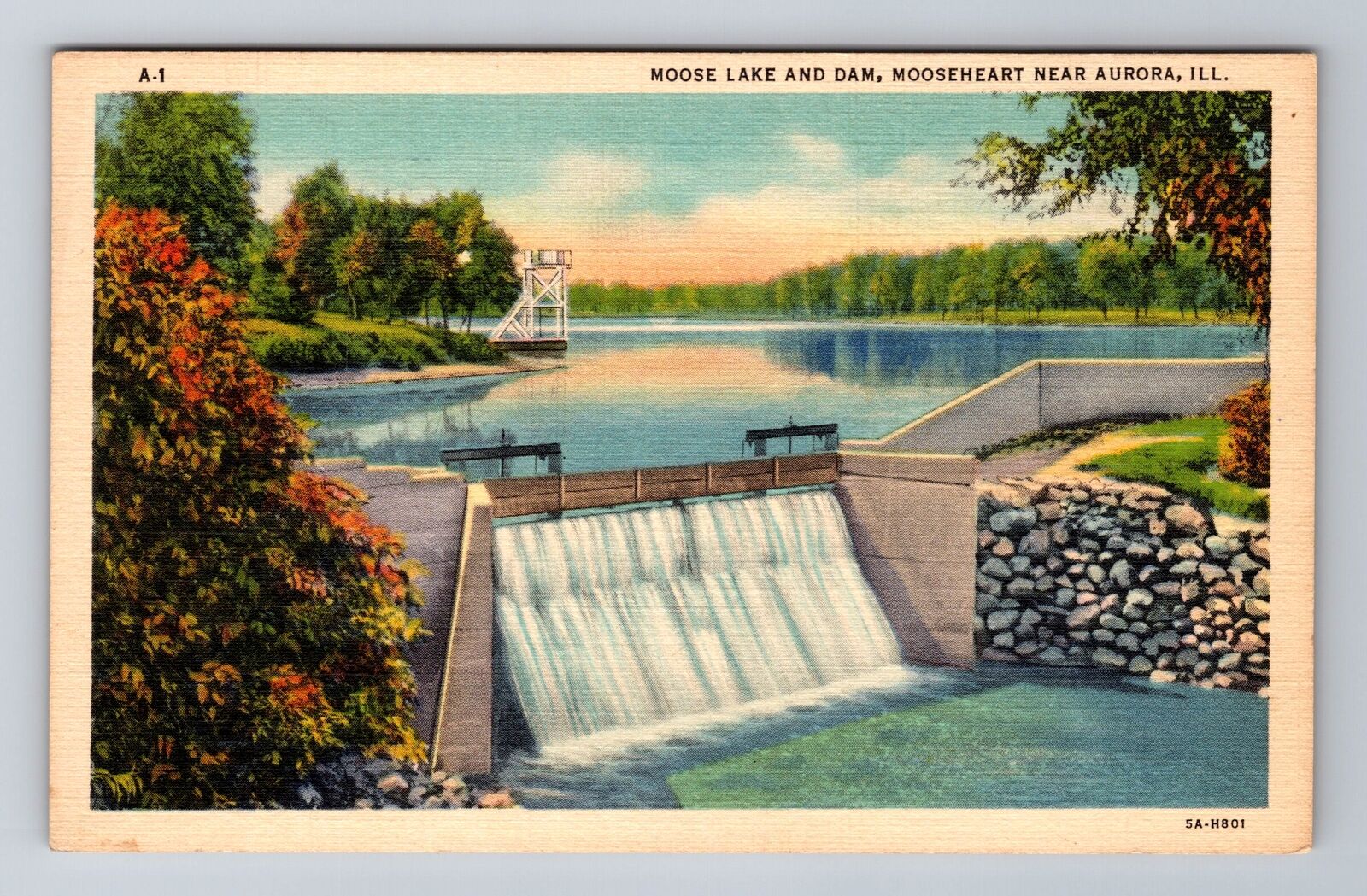 Aurora IL-Illinois, Moose Lake and Dam, Antique Vintage Souvenir Postcard