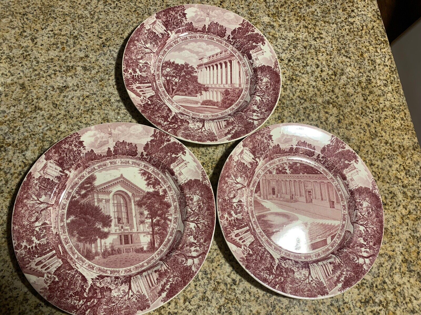 UC Vintage Rare Historical Wedgewood Pink And White Plates Berkeley Campus Pics