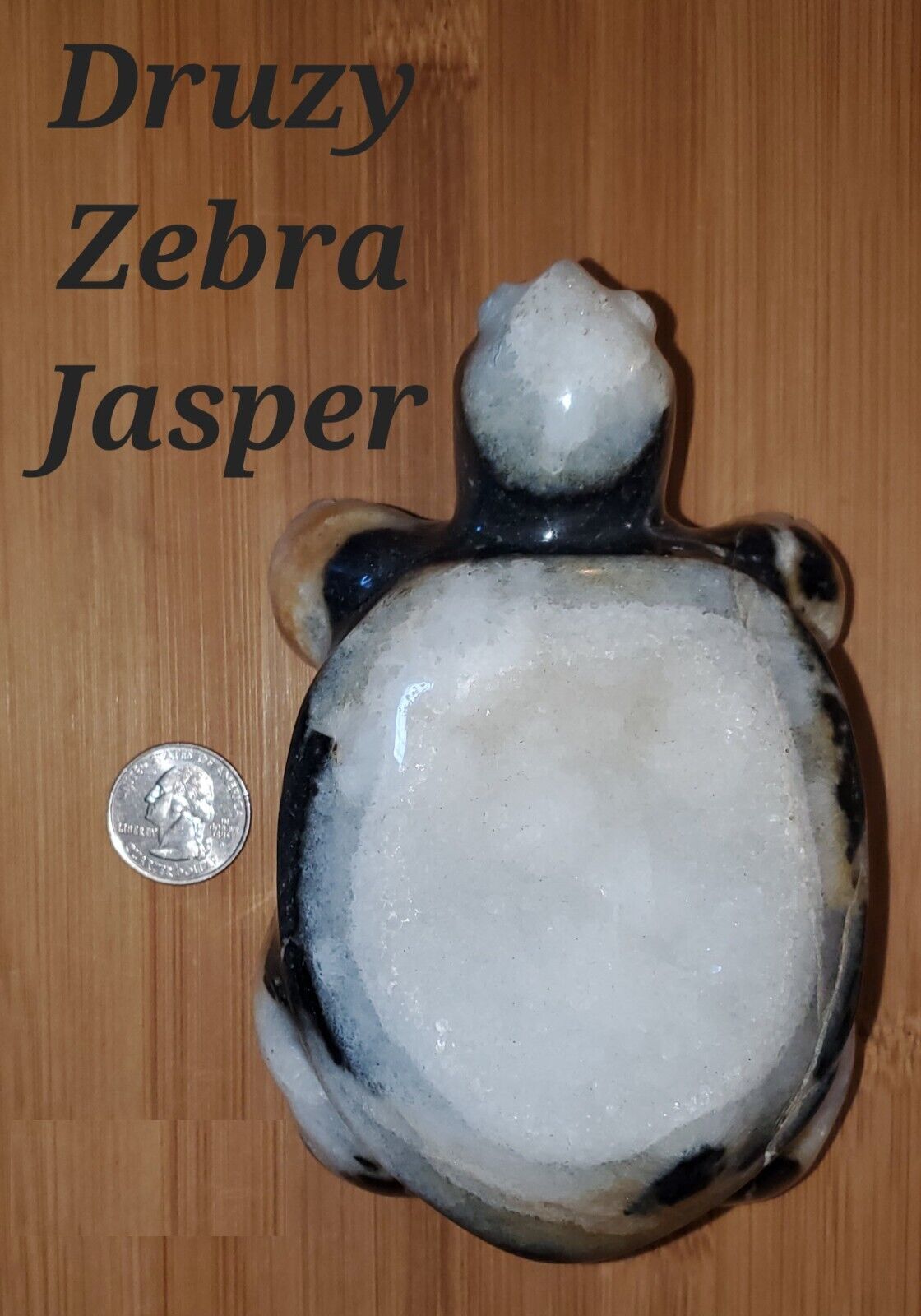 Druzy Zebra Jasper Crystal Turtle Carving