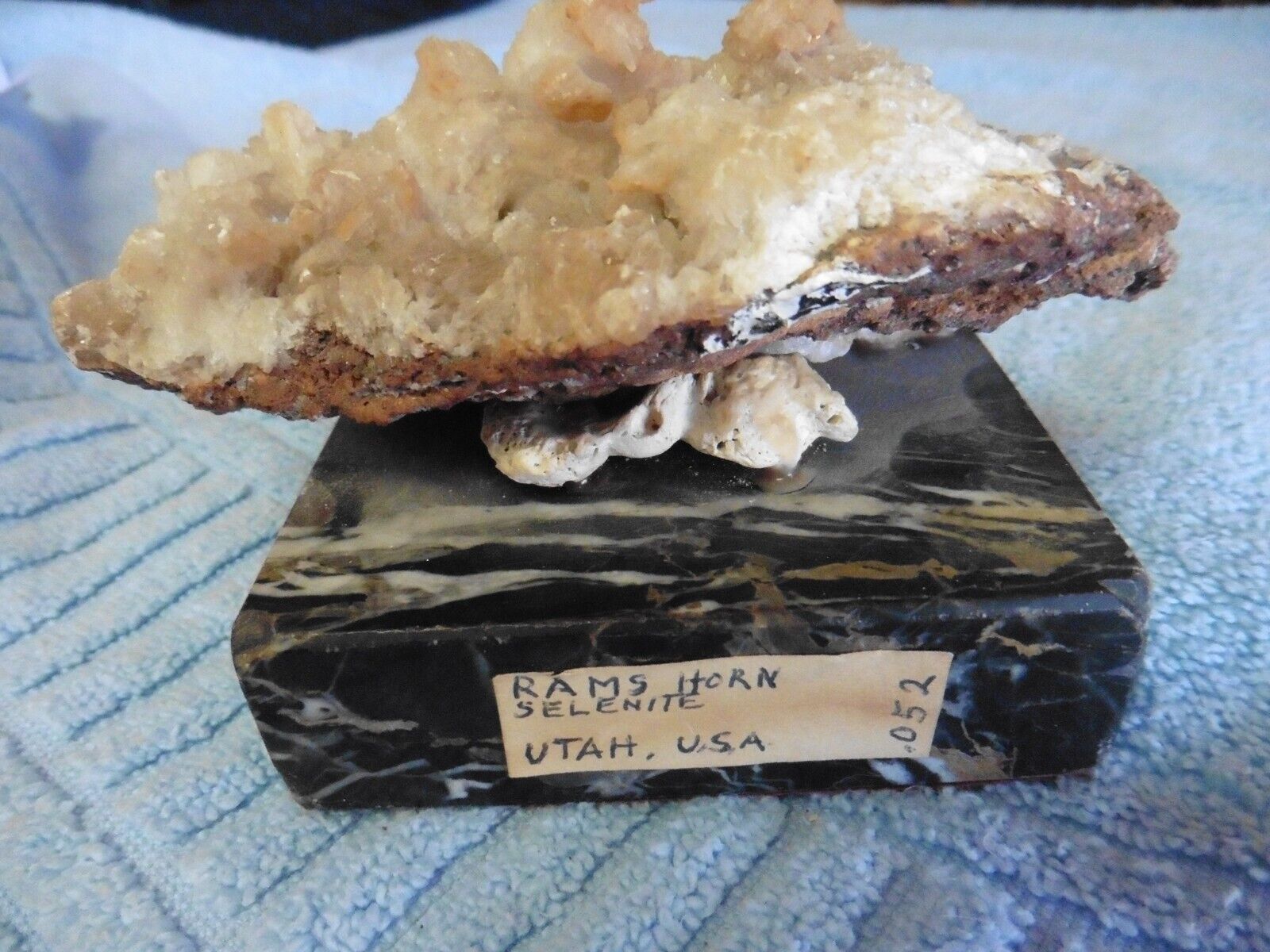 Vintage Utah Ram's Horn Selenite on marble base mineral rock Rare