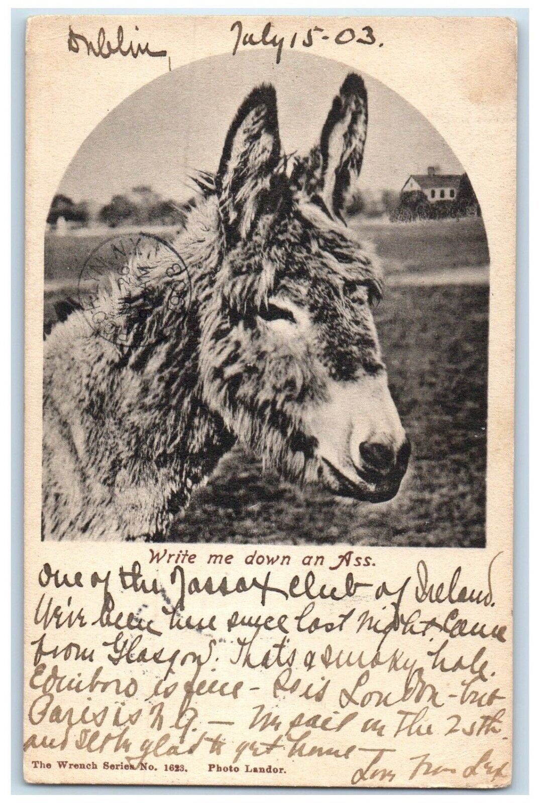 1903 Donkey Write Me Down On Ass Animals Ireland Posted Antique Postcard
