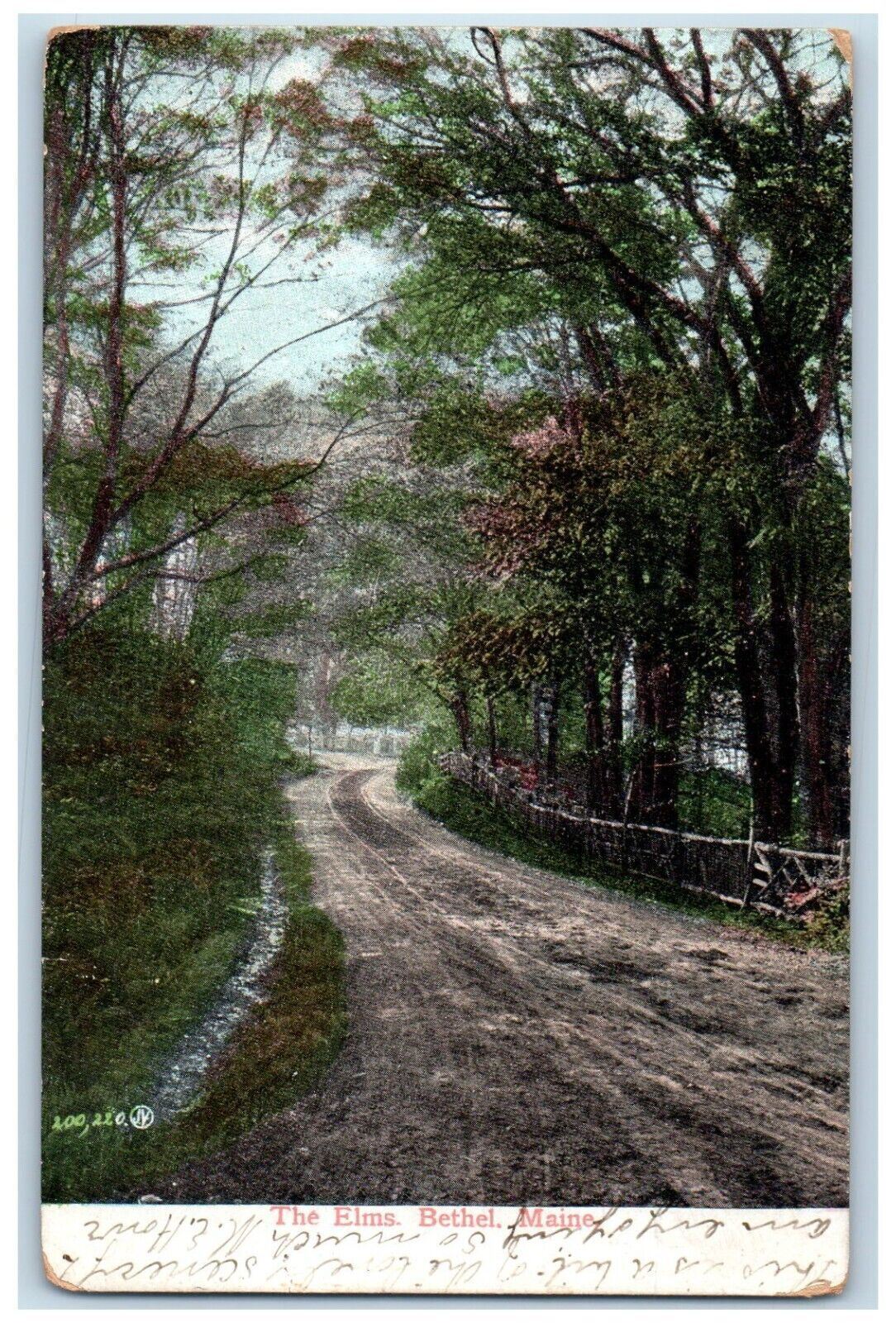 1910 The Elms Dirt Road And Trees Bethel Maine ME Posted Antique Postcard