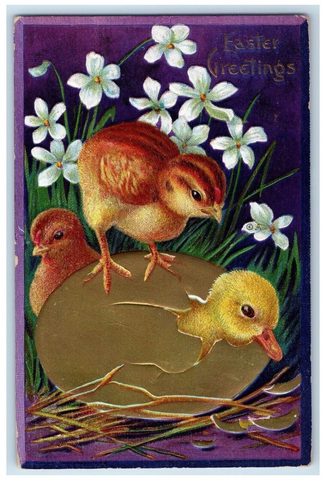 c1910's Easter Greetings Hatched Egg Chicks White Flowers Winsch Back Postcard