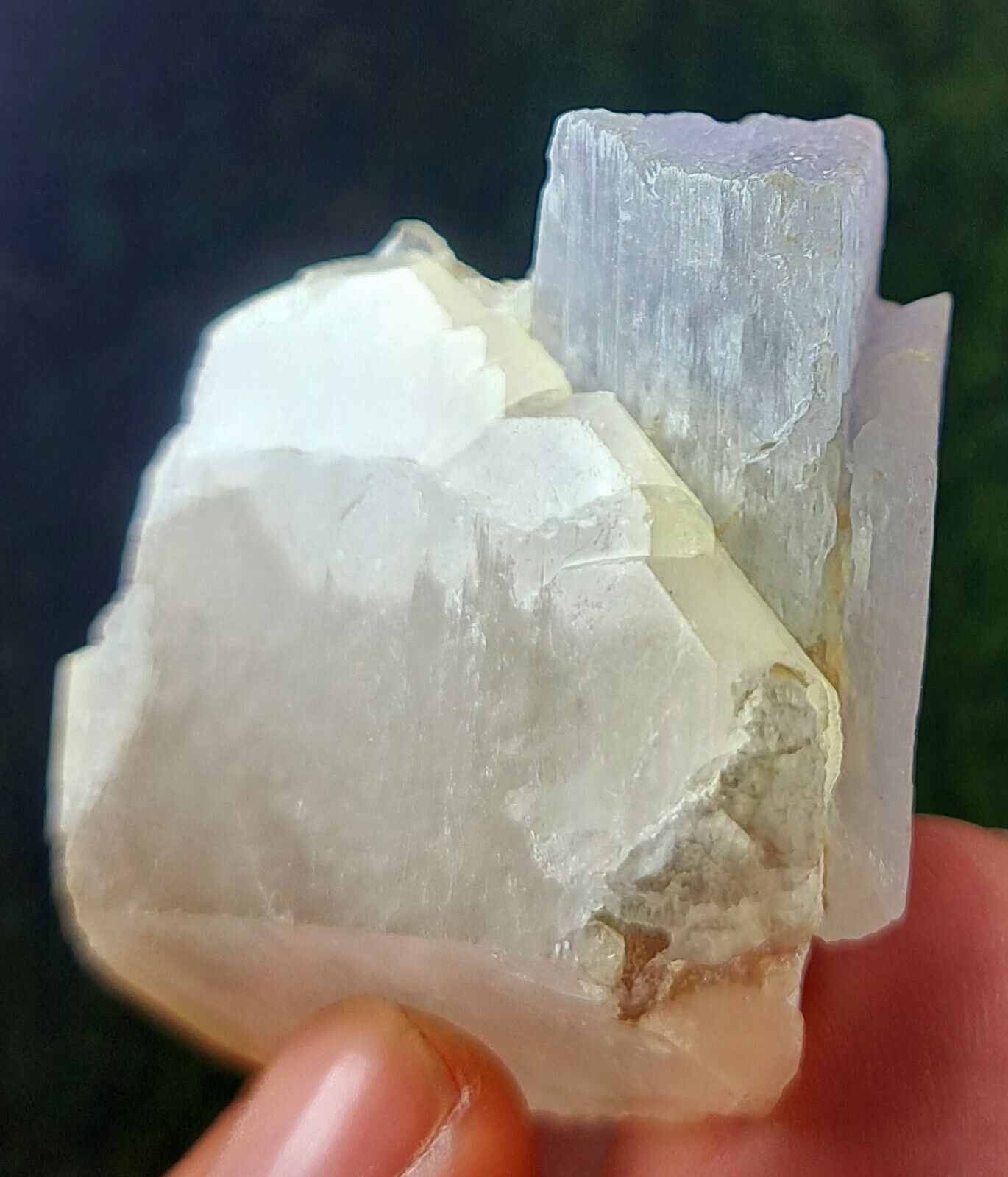 497cts wow Amazing piece of loustrous purple kunzite specimen crystal on quartz