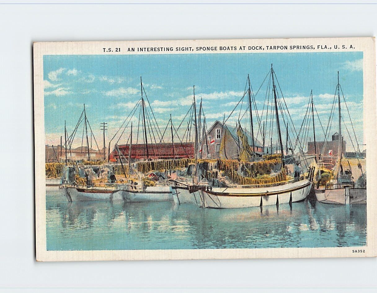 Postcard An Interesting Sight, Sponge Boats At Dock, Tarpon Springs, Florida
