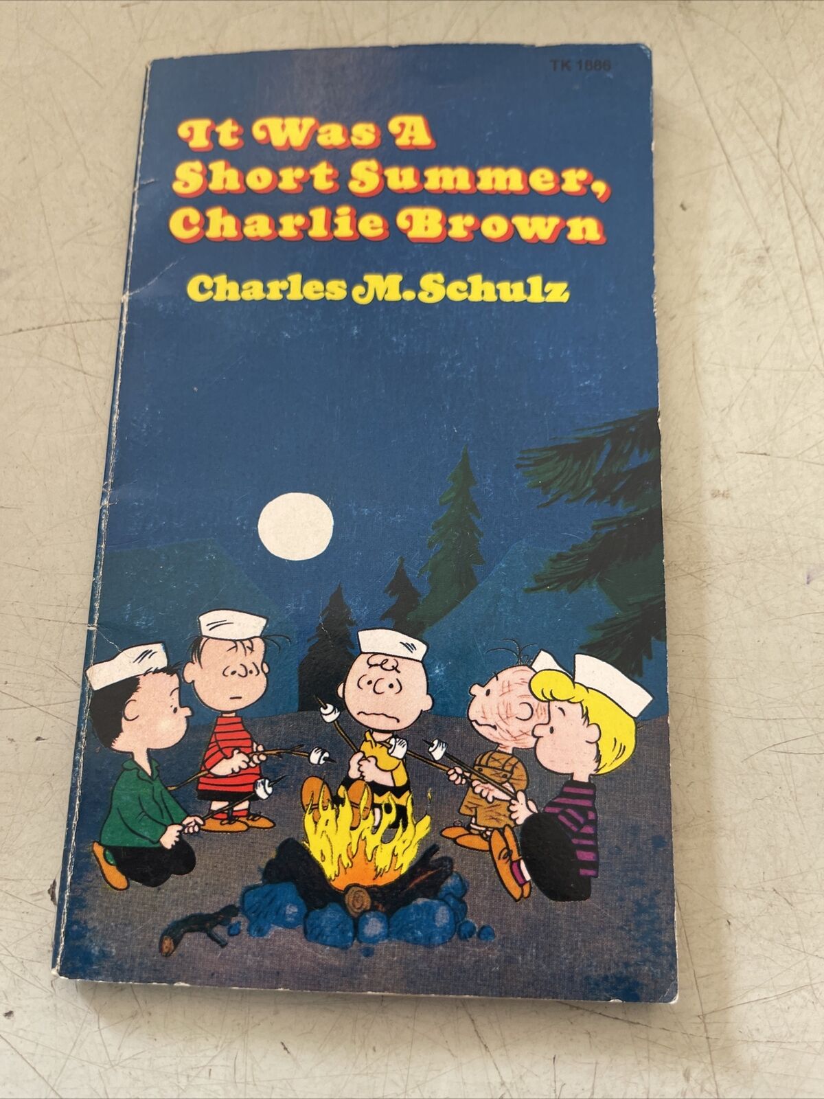 It Was A Short Summer, Charlie Brown 1970