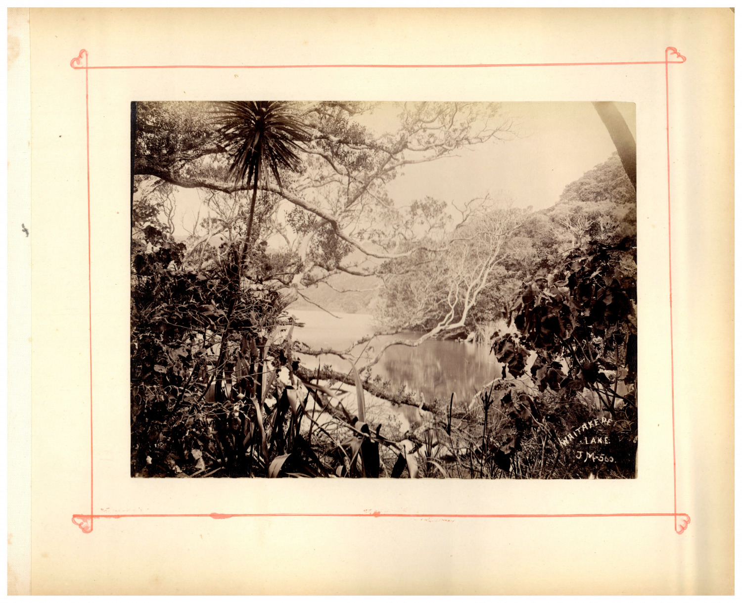 New Zealand, Waitakere Lake, Photo. J.M. Vintage print, albumin print 24 print