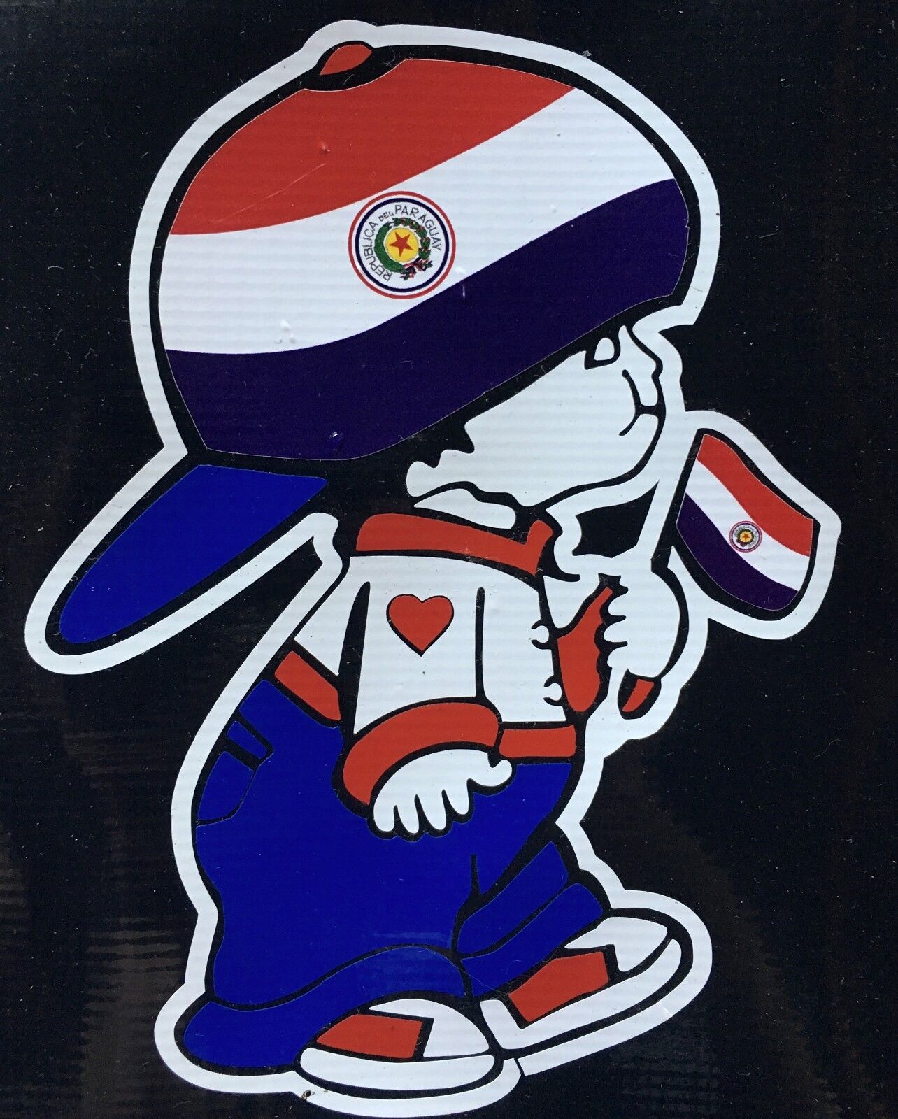 Paraguay Boy holding Paraguay National Flag Car Decal Sticker  