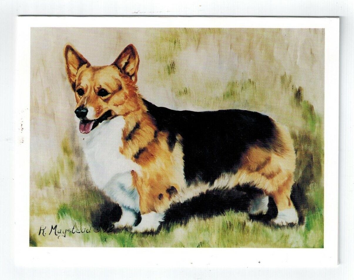 Tricolor Welsh Corgi Pet Dog Notecard Set - 6 Blank Note Cards By Ruth Maystead