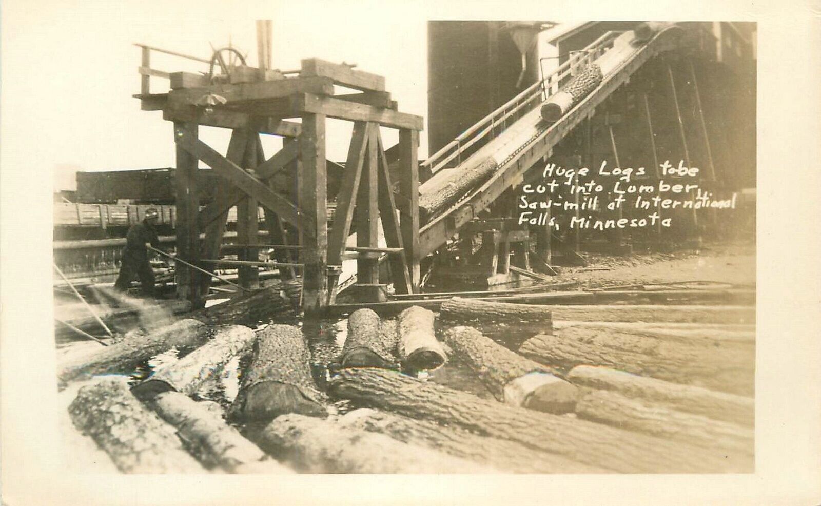 Postcard Minnesota International Falls Huge Logs Lumber logging sawmill 23-2371