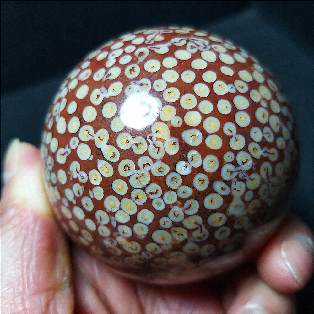 RARE 443.6G Natural Polished coral jade Agate Crystal Sphere Ball Healing  B316