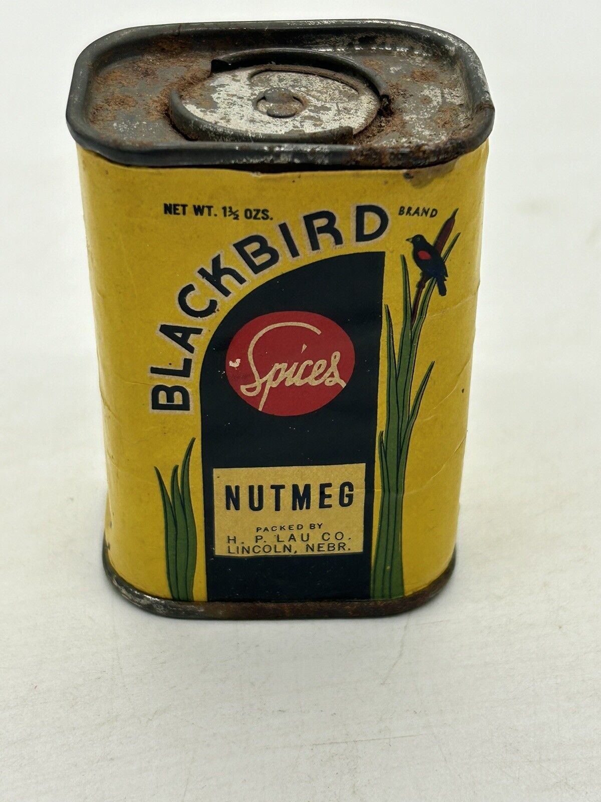 Blackbird Spices H. P. LAU Co. Lincoln  Nebr. Nutmeg Spice Tin Can Nebraska