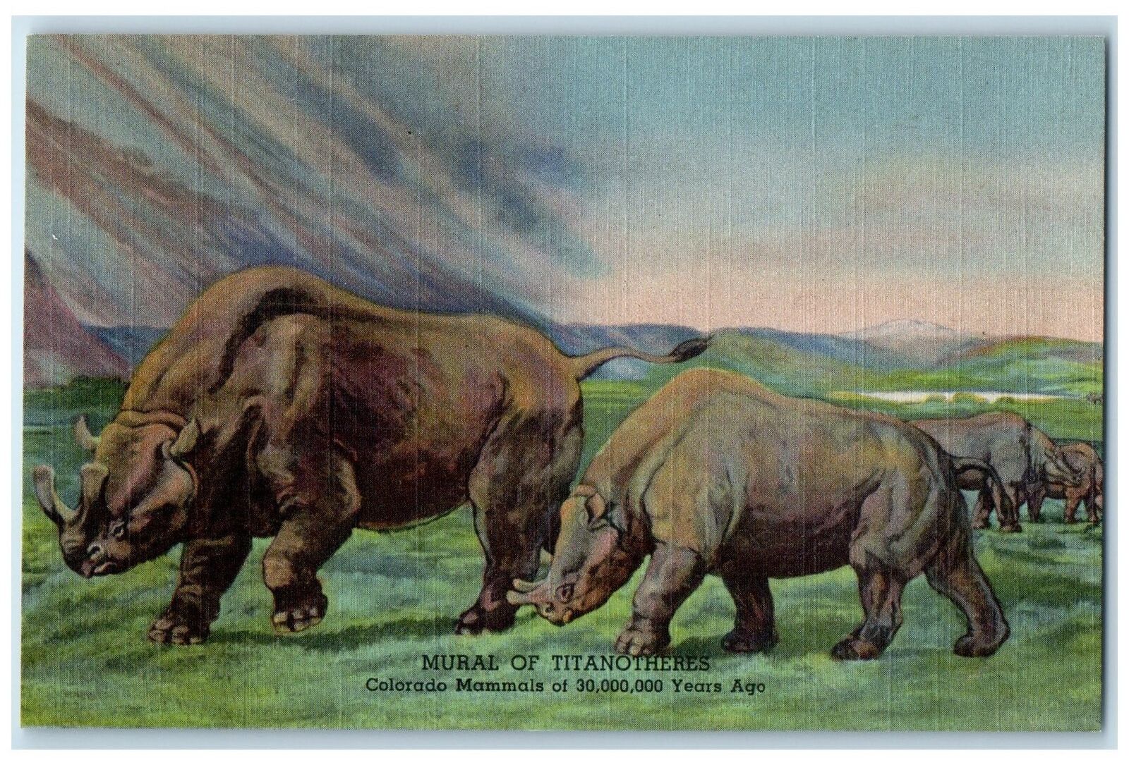 c1940\'s Mural Of Titanotheres Denver Colorado CO Denver Museum Unposted Postcard