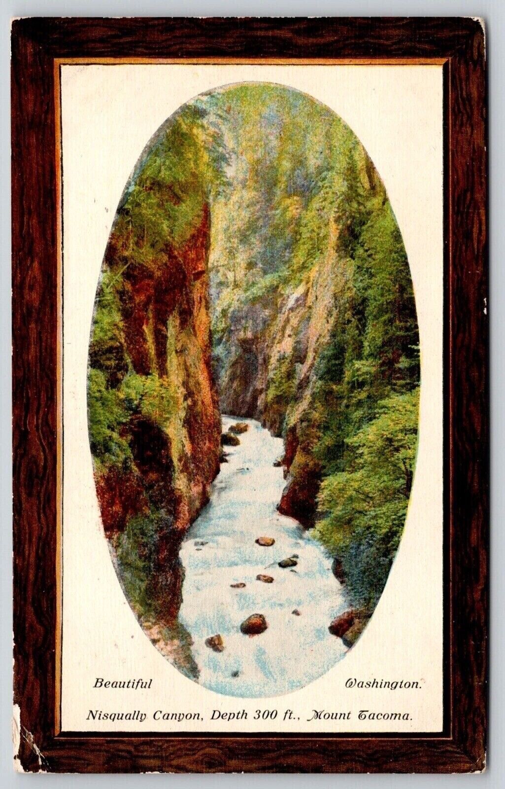 Washington Nisqually Canyon Mount Tacoma Postcard