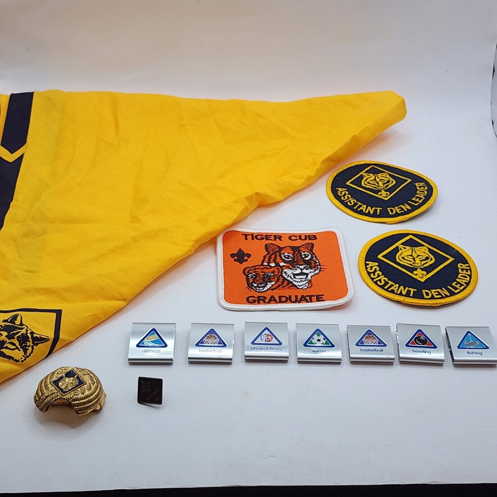 Cub Scout Bandana, Patch, Pin, And Badges