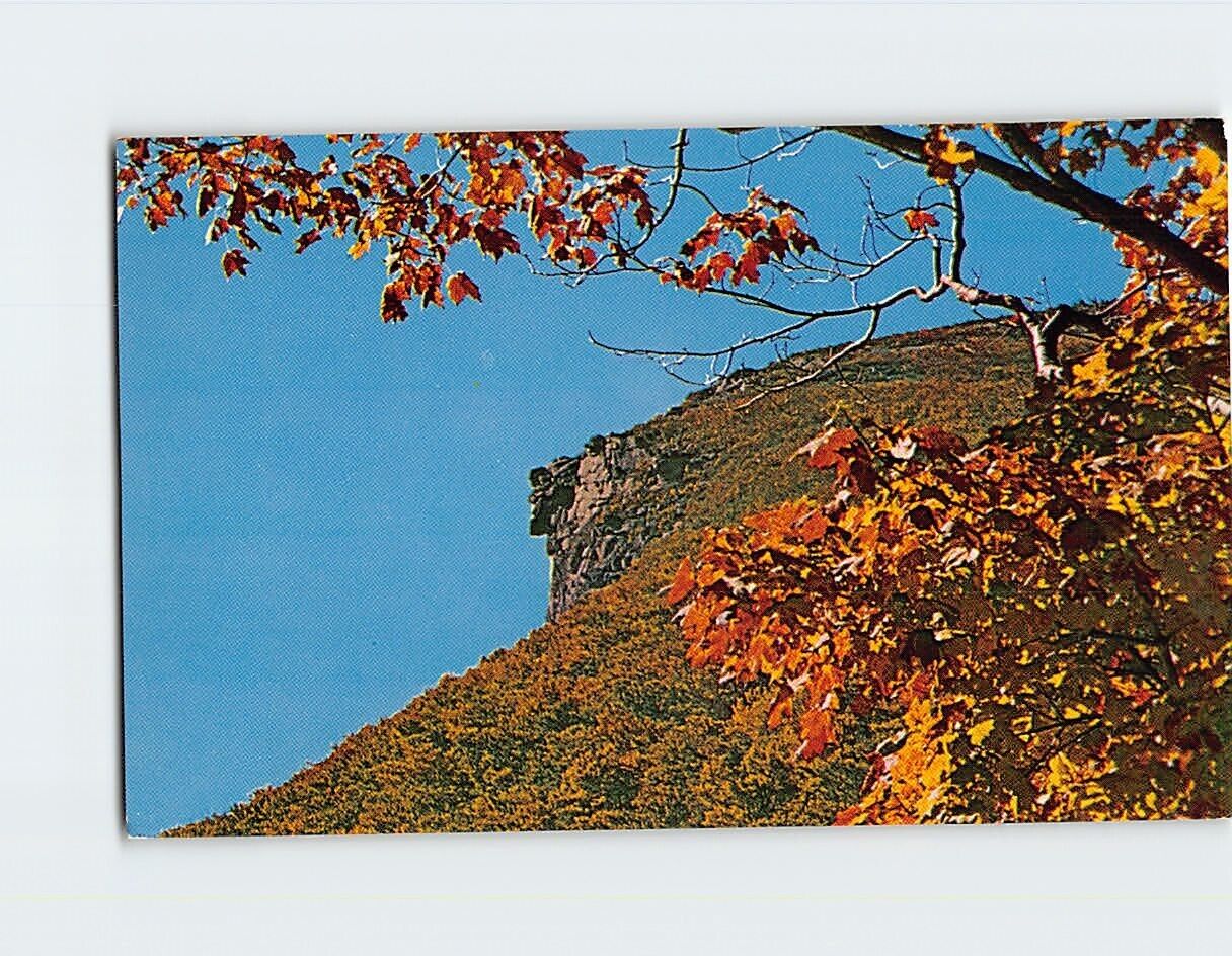 Postcard  Old Man of the Mountains Franconia Notch New Hampshire USA
