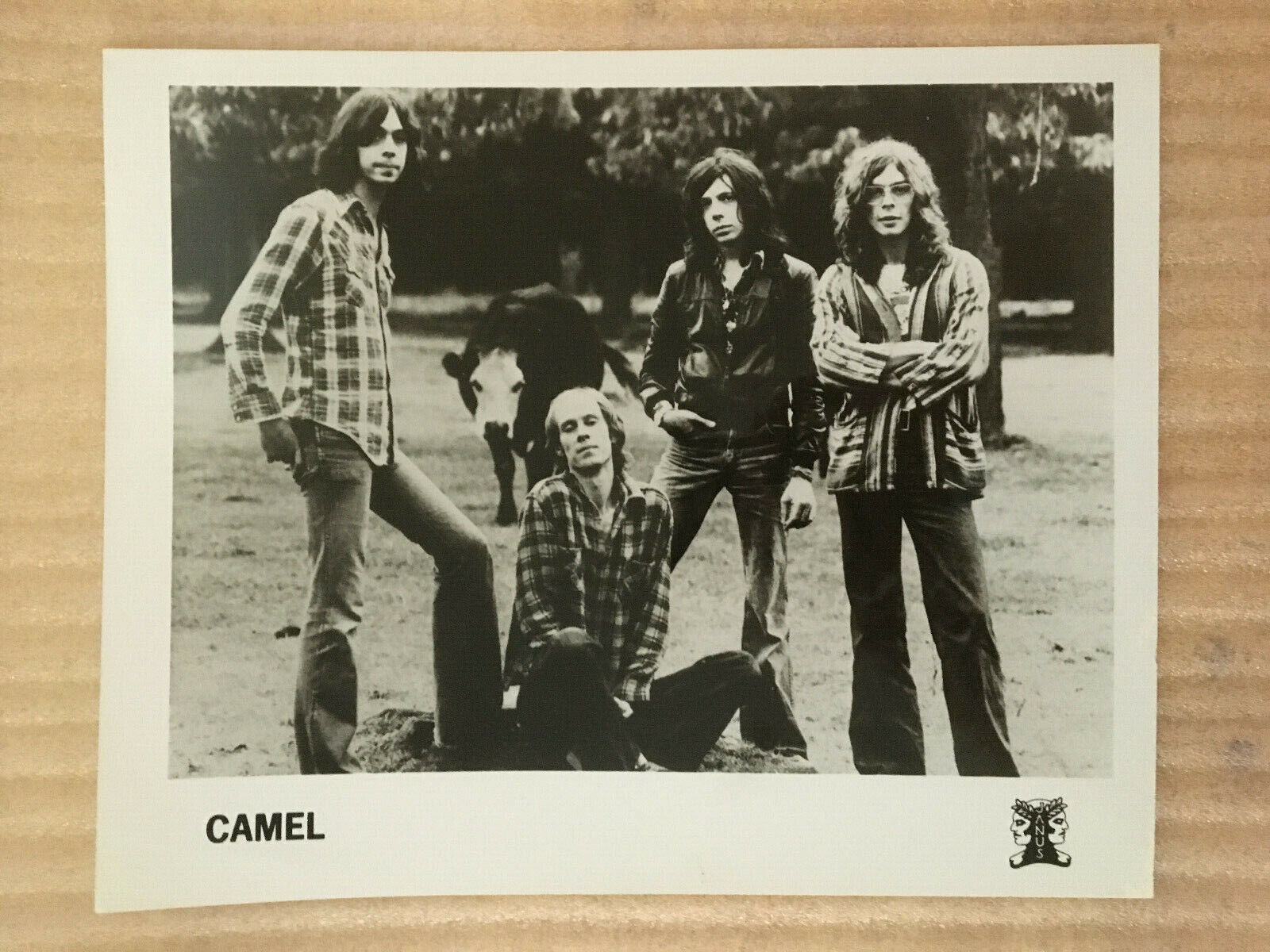 Camel British Prog Rock 1970s original vintage press photo . AMERICAN