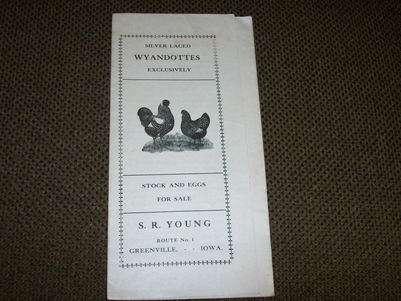 1908 Silver Laced Wyandotte Chicken Advertising Greenville Iowa S.R. Young