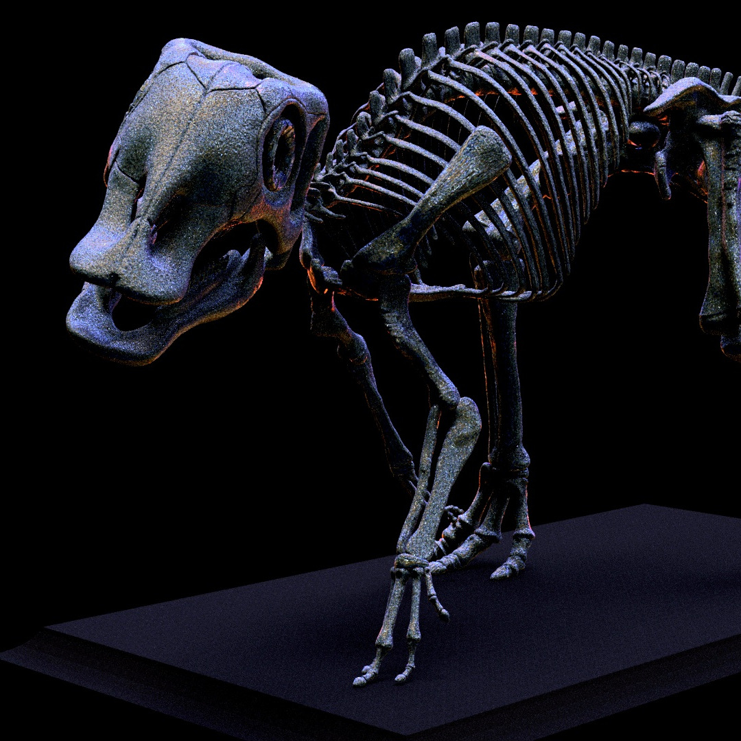 3d printed The skull of BABY MAIASAURA skeleton model dinosaur 1:1