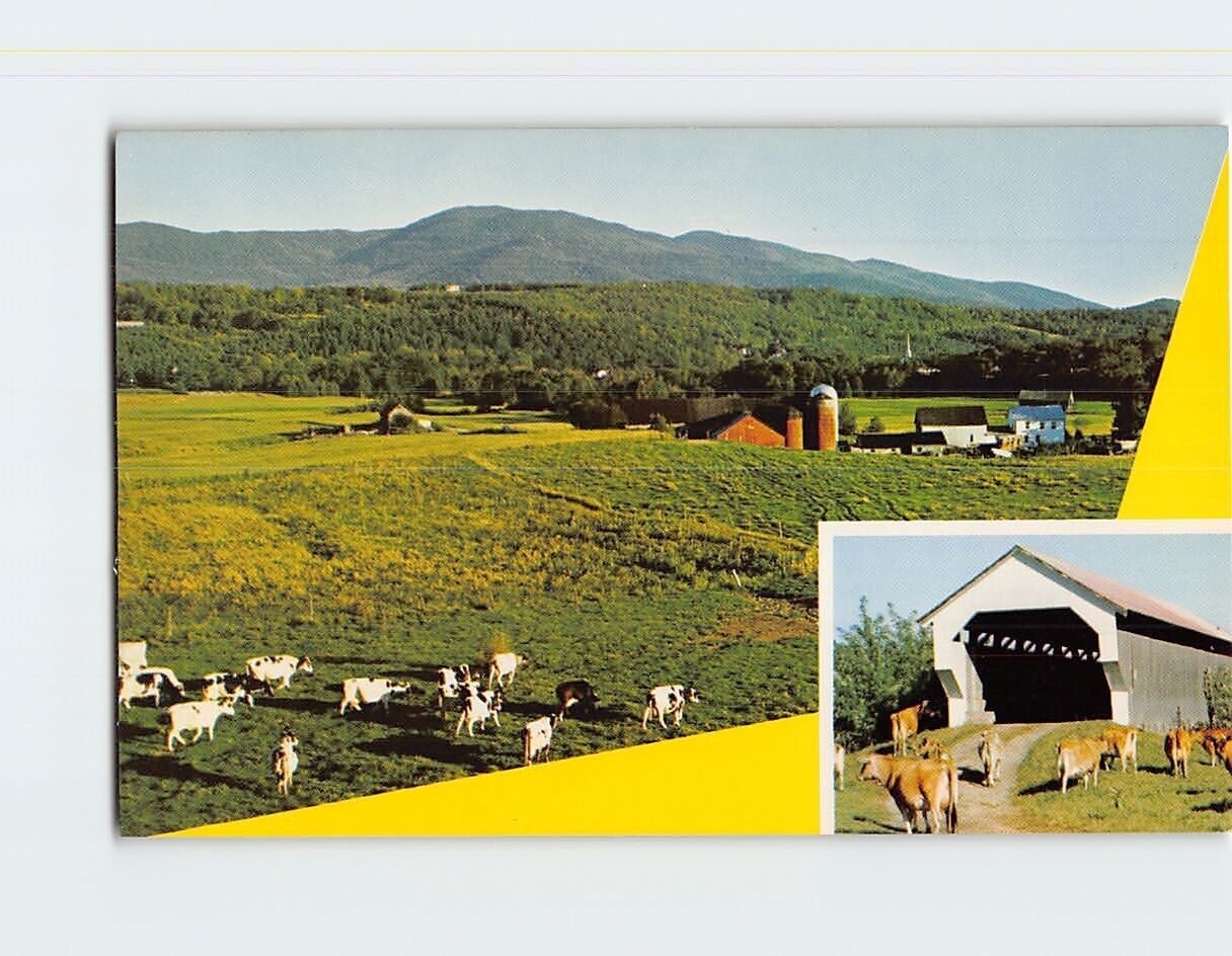 Postcard Pastoral Scene Mt. Mansfield Stowe Vermont USA
