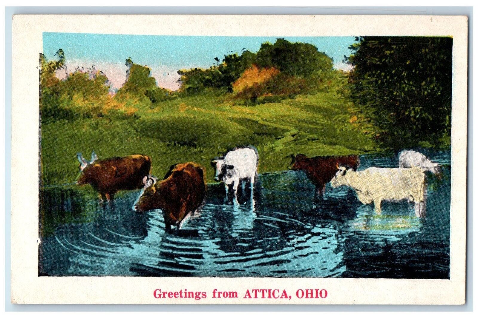 c1920\'s Greetings From Attica Cows Scene Ohio OH Unposted Vintage Postcard
