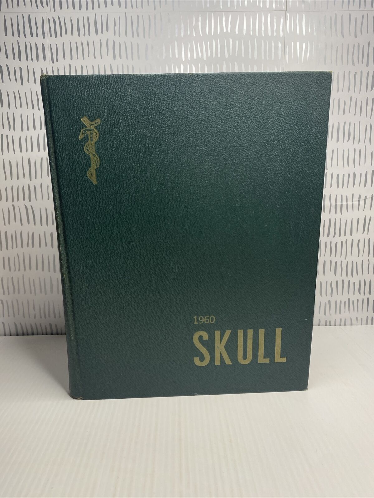 College Yearbook Albany Medical College Albany New York Skull 1960