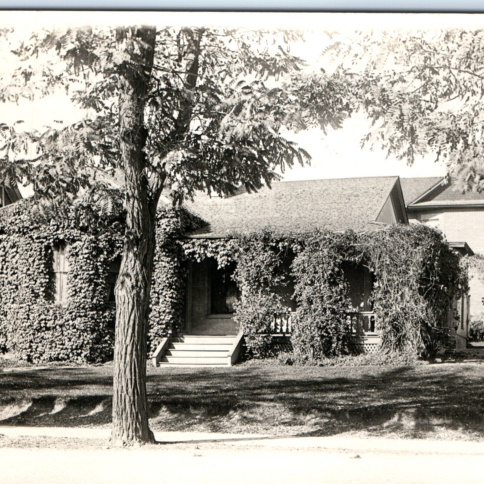 c1910s Lovely House Covered in Vines RPPC Town Home Real Photo Postcard A134