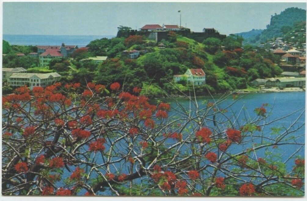 St Georges Grenada WI Fort George Entrance Georges Harbour Vintage Postcard