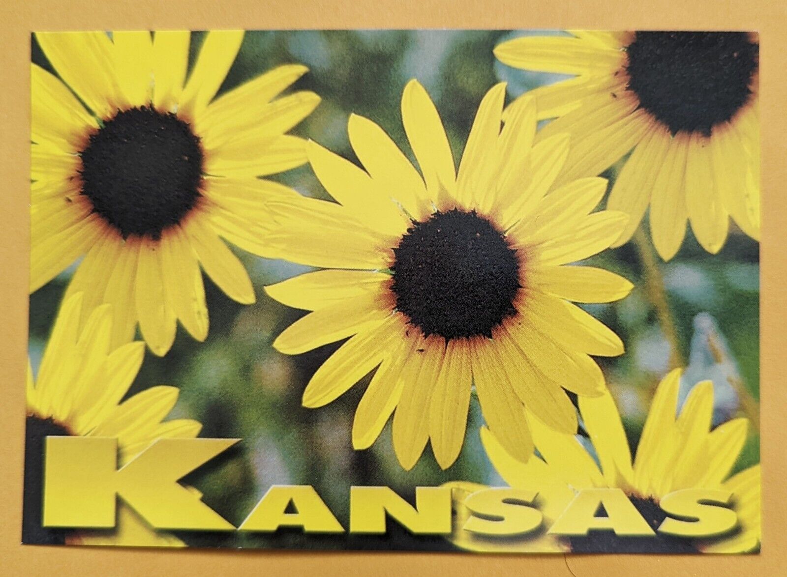 Postcard KS: Kansas - The Sunflower State