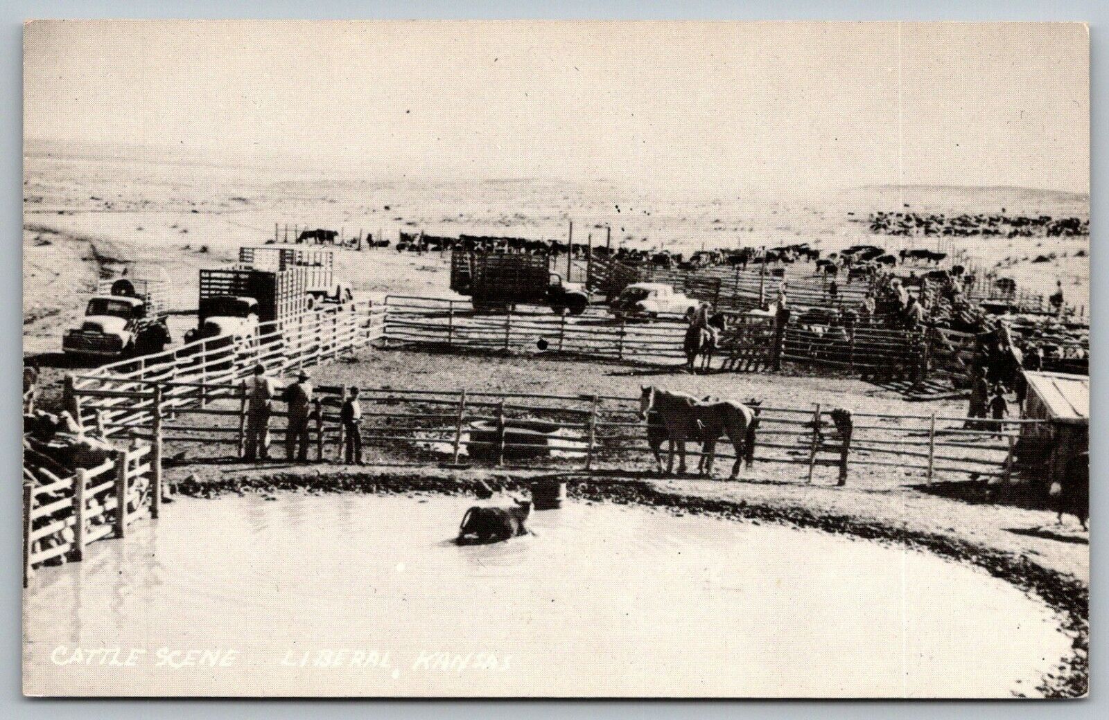 Liberal Kansas~Range~Cattle in Pens~Cow in Water Hole~Open Air Trucks~1940s B&W 
