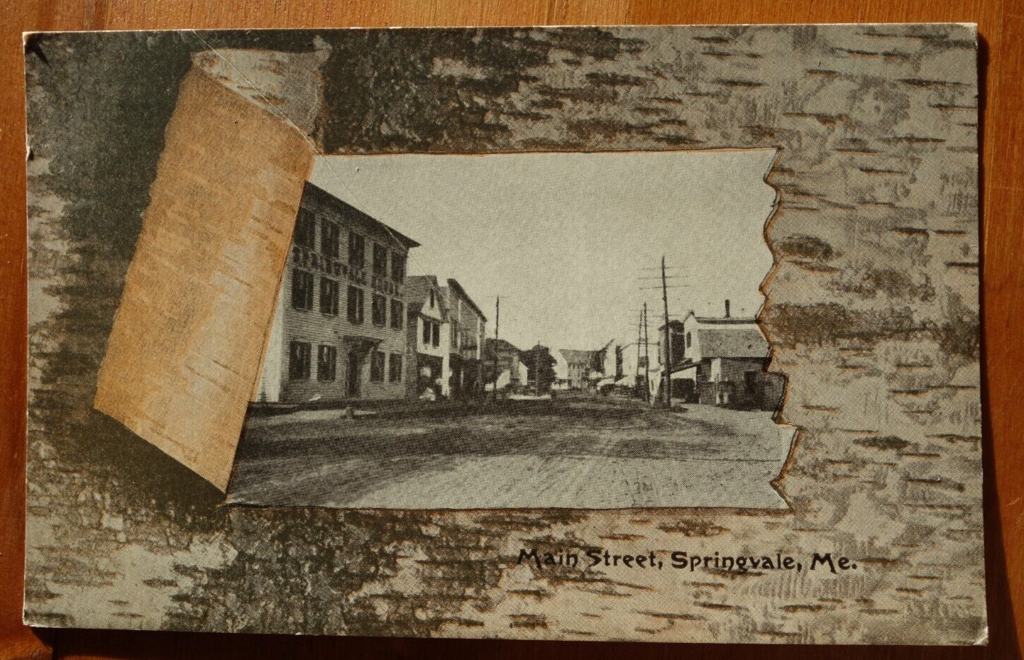 birch border Main Street, Springvale, ME MAINE postcard