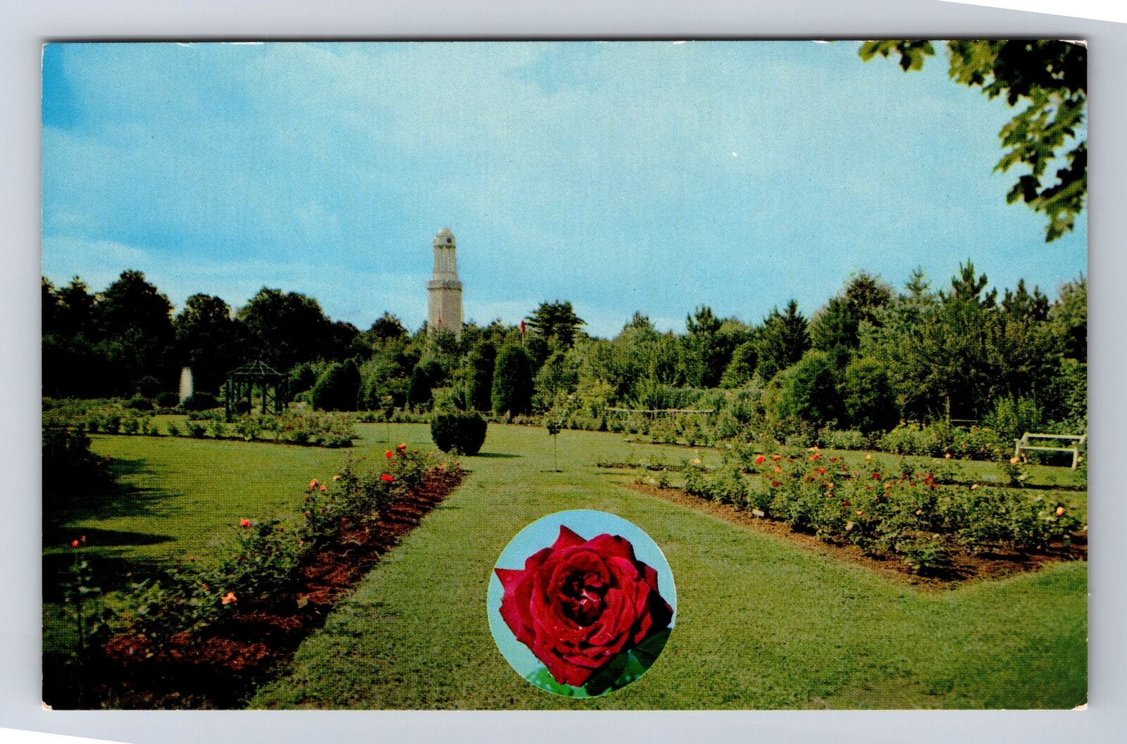 Westfield MA- Massachusetts, Rose Garden At Stanley Park, Vintage Postcard