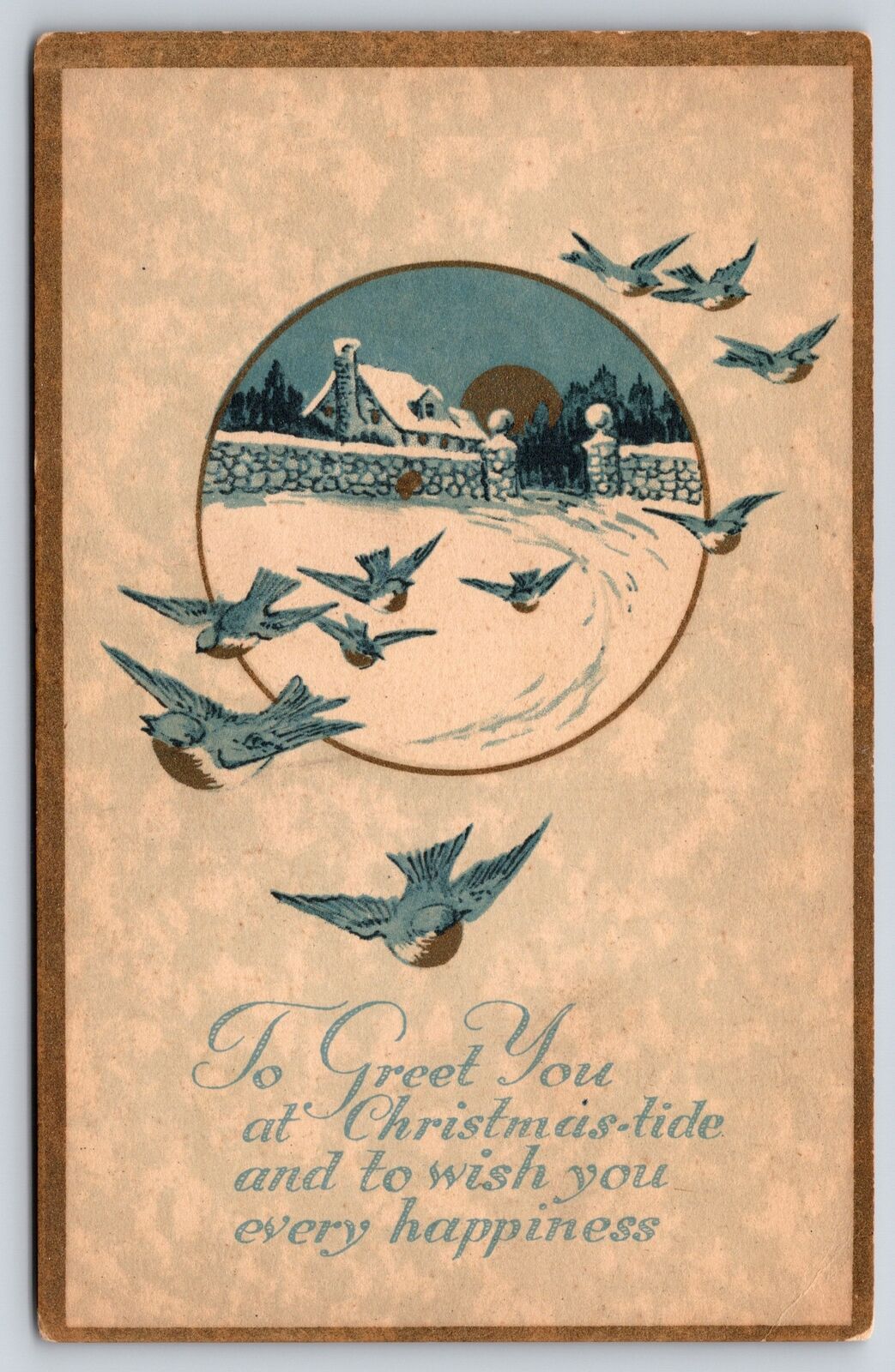 Greetings~Blue Birds To Greet You For Christmas~Gibson Vintage Postcard