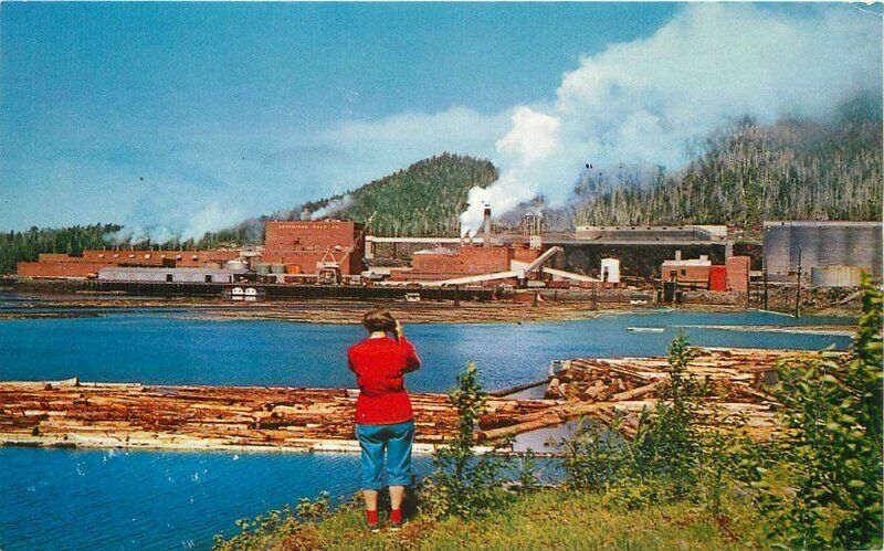Alaska Pulp Mills Logging Lumber Fishing Postcard Roberts Johnston 11766