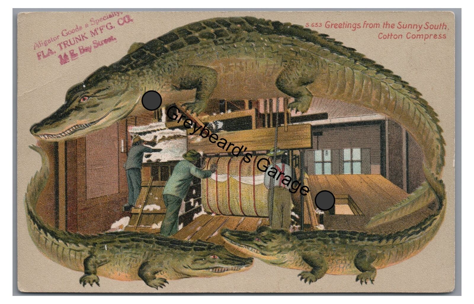 Greetings from the Sunny South Cotton Gin Langsdorf ALLIGATOR BORDER Postcard
