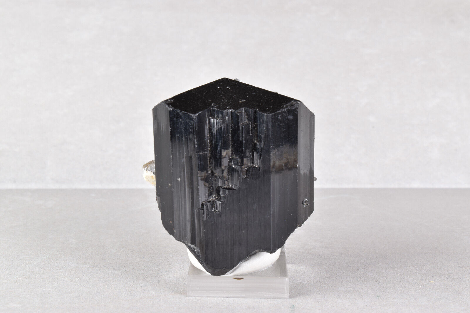 Lustrous Black Schorl Tourmaline from Namibia  4.8 cm   # 16993