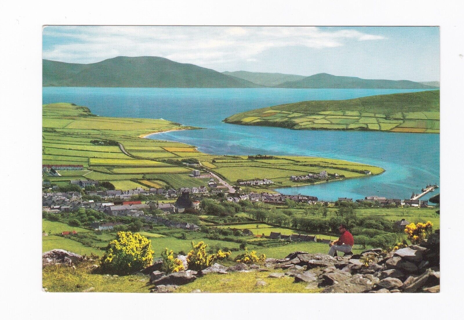 Ireland Vintage Postcard Dingle Town and Harbour, Co. Kerry