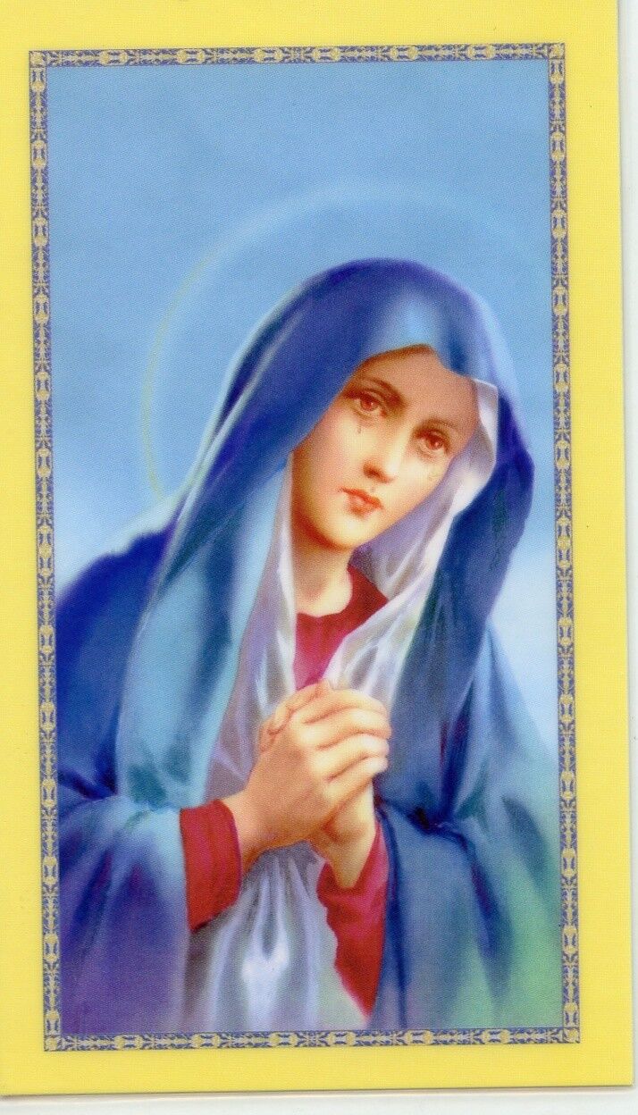 PRO LIFE PRAYER - Laminated  Holy Cards.  QUANTITY 25 CARDS