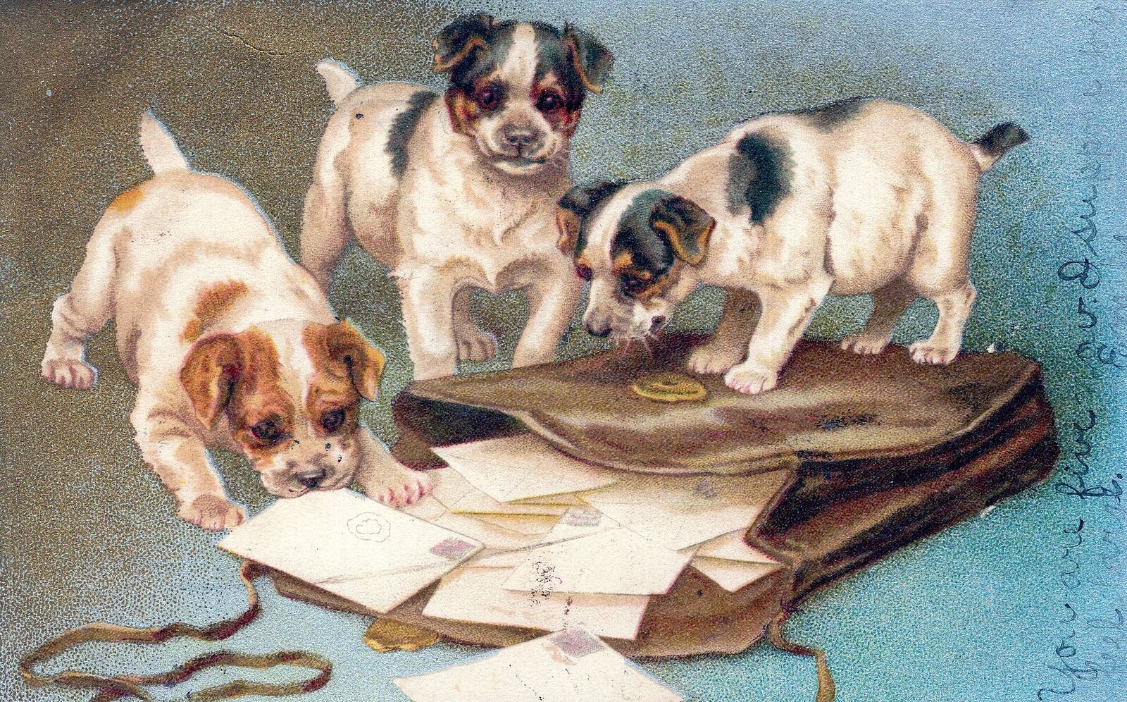 Three Dogs And Bag Of Mail Postcard - udb - 1907