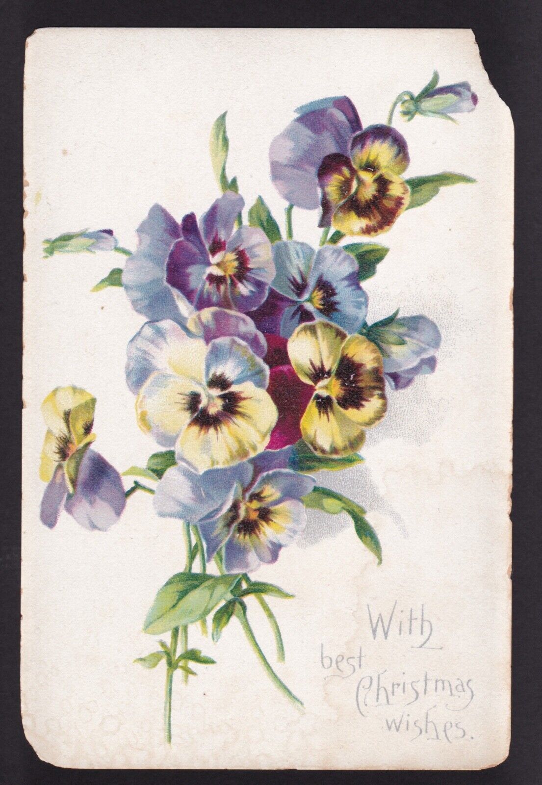 c.1907 Tuck artistic series Pansy flower Best Christmas postcard