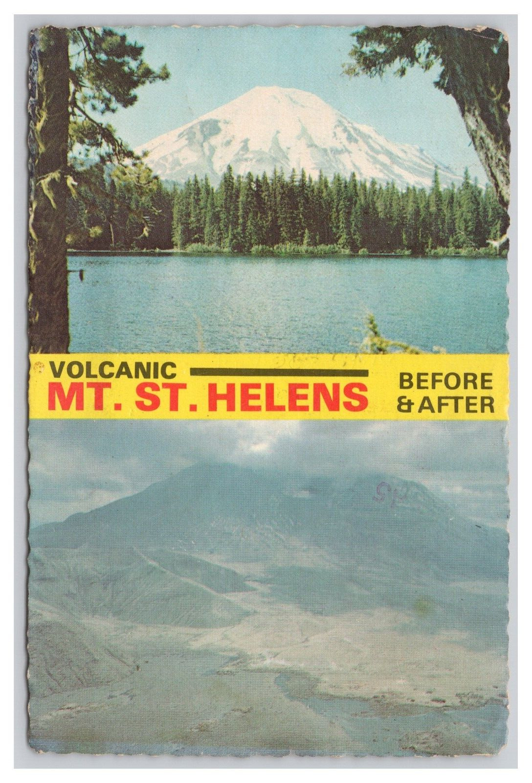 Postcard Continental Size Volcanic Mt. St. Helens Washington Before /After c1981