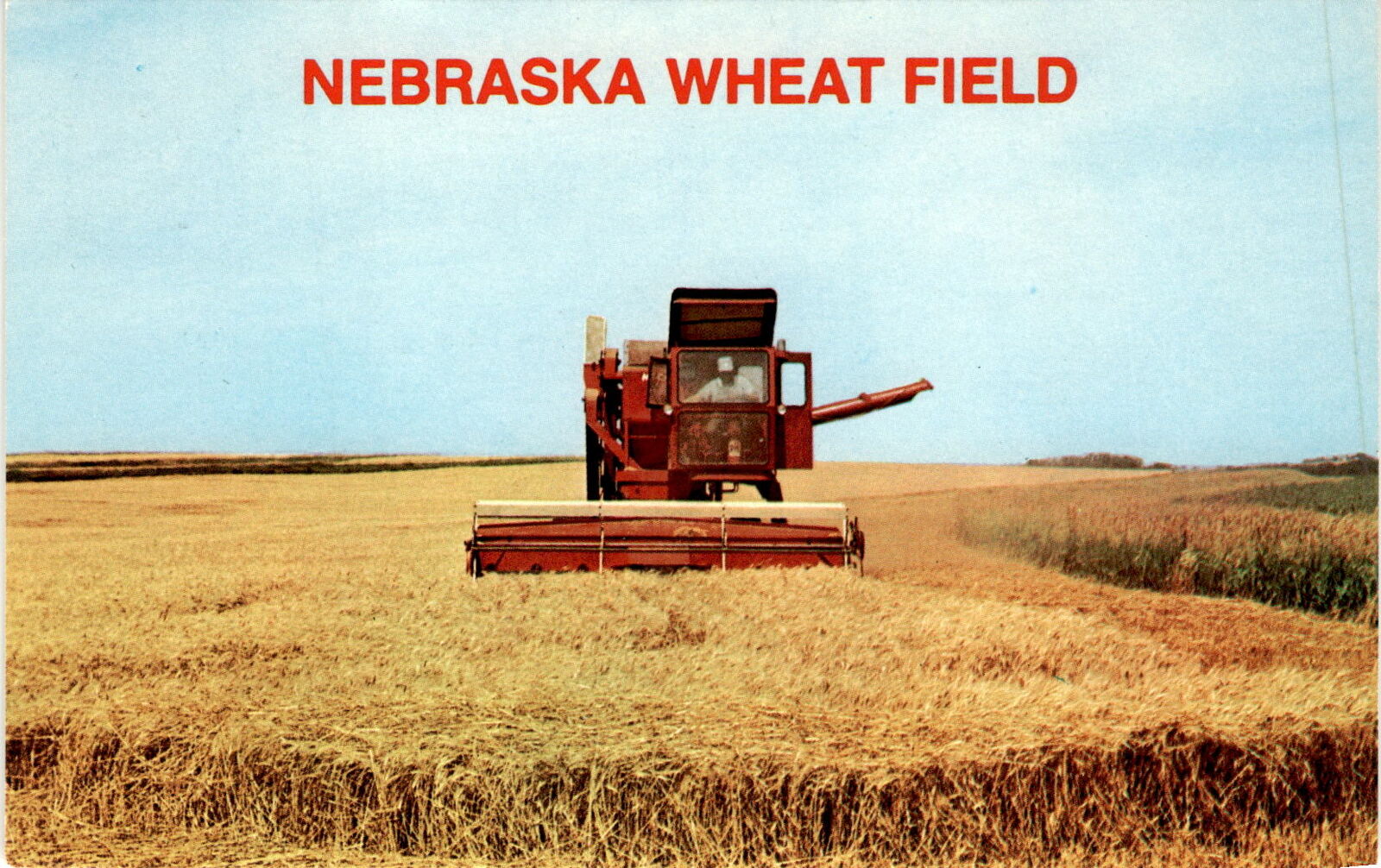 Nebraska wheat field Staff of Life Pospeshil Card Service Sioux City Io postcard