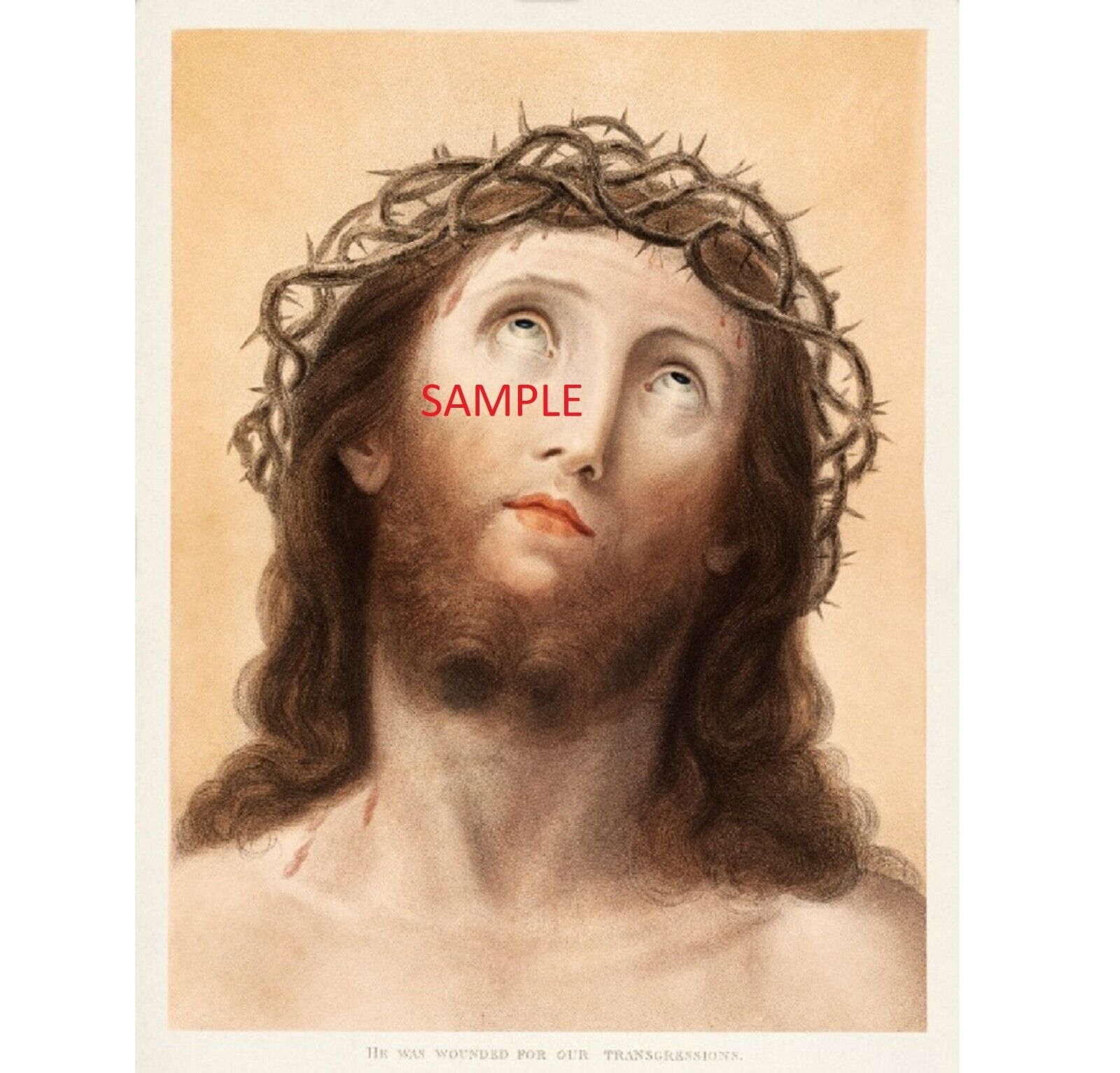 Head of Christ with Thorn Head Crown by Francesco Bartolozzi 8X10 Print GG01