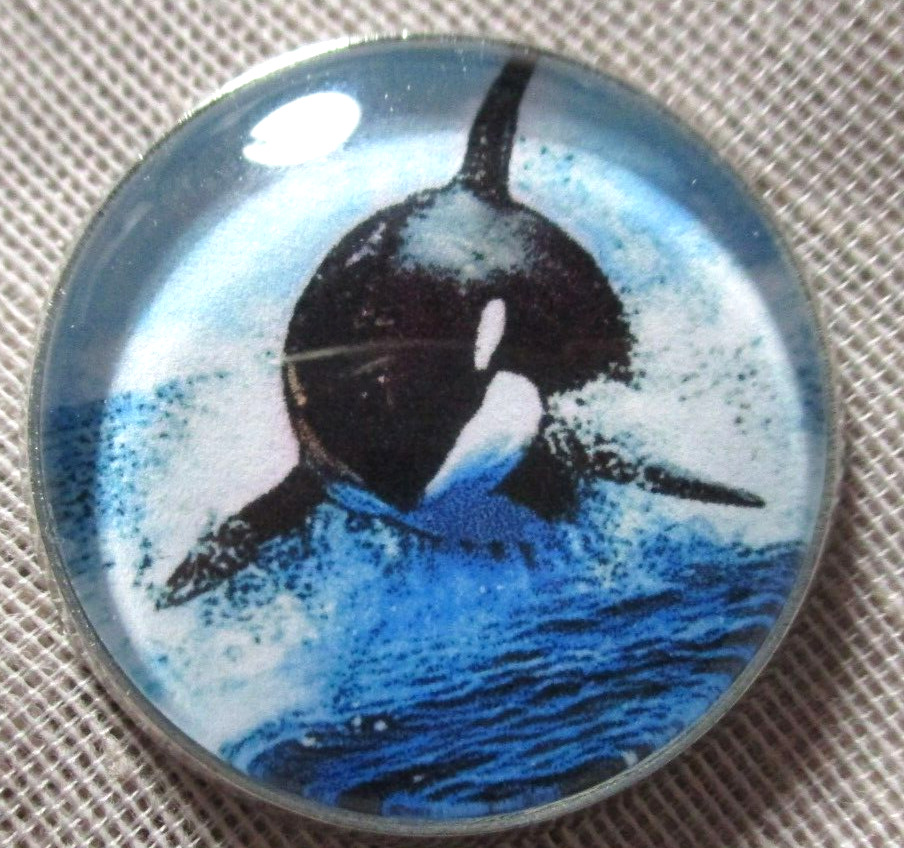 GLASS DOME PICTURE BUTTON - ORCA KILLER WHALE JUMPING OUT OF WATER   1 IN