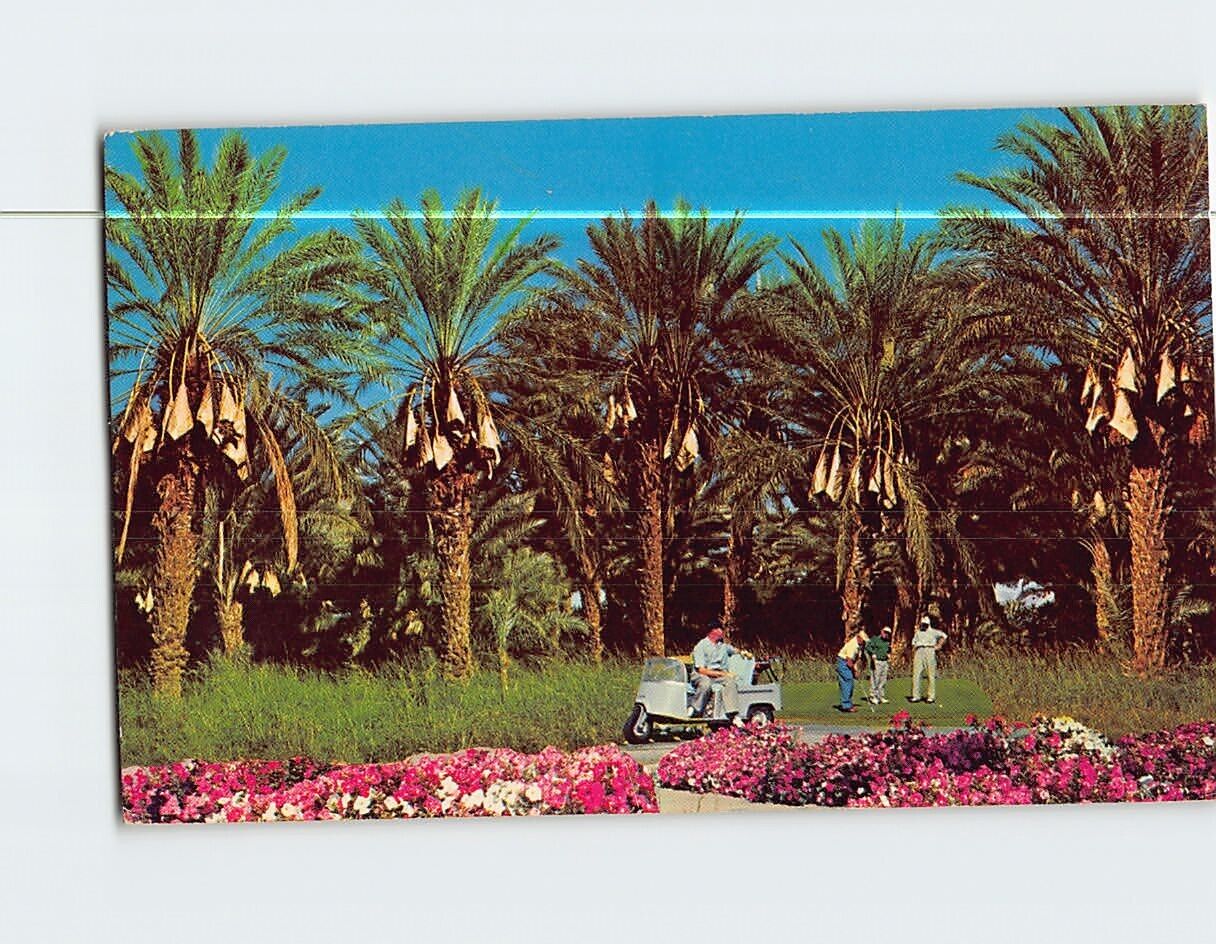 Postcard Picturesque Date Grove Golf Course Indio California USA